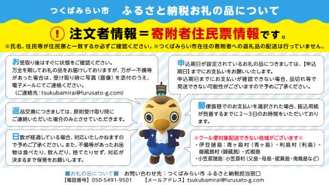 赤いちごと白いちごの宝石箱　【令和6年12月から順次お届け】　田舎の頑固おやじが厳選！ 果物 フルーツ 春 夏