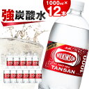 【ふるさと納税】炭酸水 ウィルキンソン タンサン 1000ml 12本 1ケース アサヒ飲料 強炭酸水 ペットボトル_ ふるさと納税 ふるさと 炭酸 炭酸水 炭酸飲料 1L 山梨県 山梨市 山梨 人気 送料無料【1499988】