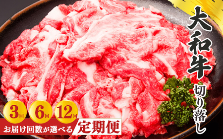【 定期便 6回 】 奈良県産 黒毛和牛 大和牛 切り落し 500g ( 250g x2) ｜ブランド牛 和牛 金井畜産