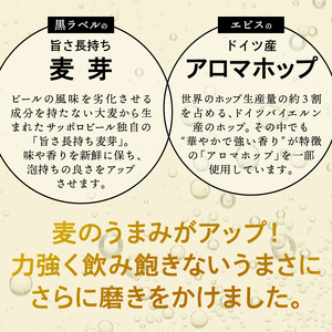 T0033-1210　【定期便 10回】ゴールドスター350ml×1箱(24缶)【定期便】