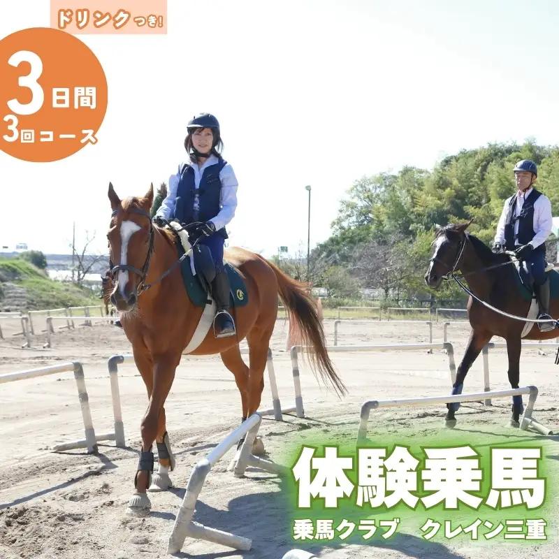 乗馬 体験乗馬3日間3回コース(ドリンク付) 乗馬 【cran0002】