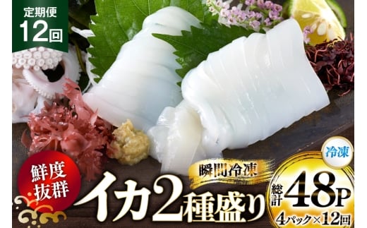 海鮮 魚介 イカ 2種盛り（胴体＋ エンペラ ・ ゲソ ） 12回 定期便 [舘浦漁業 長崎県 平戸市 hr42bgy420384] おつまみ 新鮮 刺身 下足 セット 盛り合わせ 瞬間冷凍 冷凍 コリコリ 直送 冷凍 個包装 真空パック