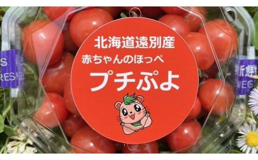 【先行予約：2026年7月中旬～順次出荷】赤ちゃんのほっぺ プチぷよトマト 約1ｋｇ(250ｇ×4パック)