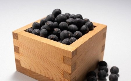 丹波黒大豆 2Lサイズ 600g （300g×2袋） 黒豆 