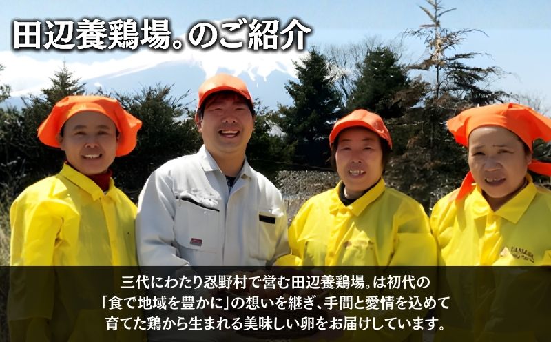 富士山の恵“忍野のたまご“‐コクの赤玉‐50個入　　鶏卵　都留　忍野　新鮮　こだわり　名水　卵　たまご　玉子　タマゴ　大容量　お得　おしののたまご　濃厚　平飼い