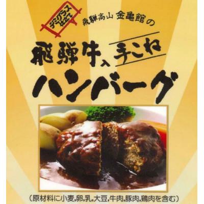 ふるさと納税 高山市 手こねハンバーグ×2個　デミグラスソース×2個 TR4450