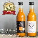 【ふるさと納税】「サジー 100%」と「サジー+ゆず」ジュース 飲み比べ セット 360ml×各1本（計2本）｜サジージュース 2種類の味 サジー シーベリー 沙棘 グアマラル 健康ドリンク 健康 美容 栄養 果汁 鉄分補給 栄養補給 ギフト 贈答 贈り物 プレゼント お祝 ご褒美 _DX01