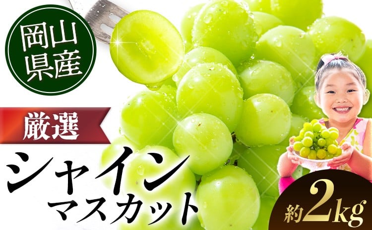 
            【2026年出荷先行予約】 厳選 シャインマスカット 約2kg 3～4房《9月上旬-11月中旬頃に出荷予定》 ぶどう 種なし ぶどう 岡山 ぶどう 先行予約 ぶどう シャインマスカット 大粒 シャインマスカット 岡山 シャインマスカット ぶどう シャインマスカット 2kg
          