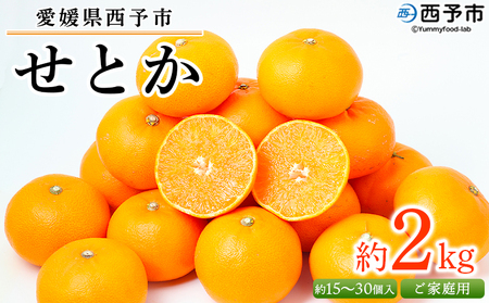 ＜愛媛県西予市産 せとか ご家庭用 約2kg＞ 訳あり 不揃い 傷 果物 フルーツ みかん ミカン 蜜柑 セトカ オレンジ 柑橘類 選べる 甘い 期間限定 食べて応援 特産品 宇都宮物産 【常温】『2026年2月下旬～4月上旬迄に順次出荷予定』UUB0053