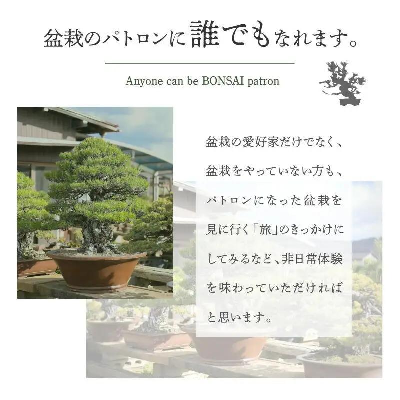 【ふるさと納税】盆栽パトロンNFT 特別ランク（デジタル商品・実物の盆栽は含まれません）