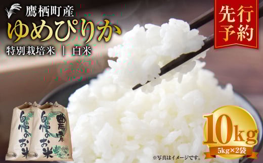 【令和7年産】 ゆめぴりか （白米）  5kg×2袋 北海道 鷹栖町 たかすタロファーム 米 コメ こめ ご飯 白米 お米 ゆめぴりか コメ 【2025年9月下旬より発送開始】