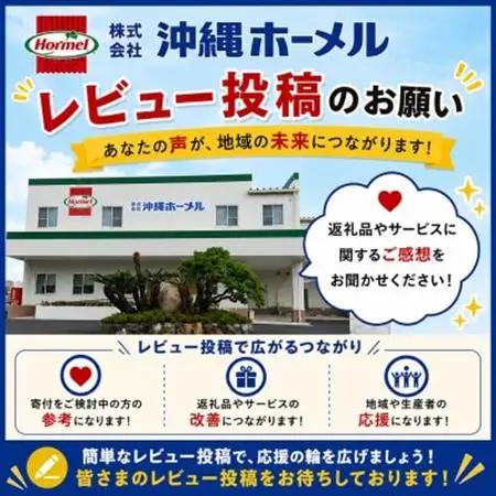 【沖縄ホーメルお試しセット】あぐーじゅーしぃの素 2合用×2袋【1677035】