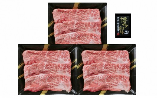 
A4ランク 博多和牛 すき焼き肉(約500g)【B3-044】
