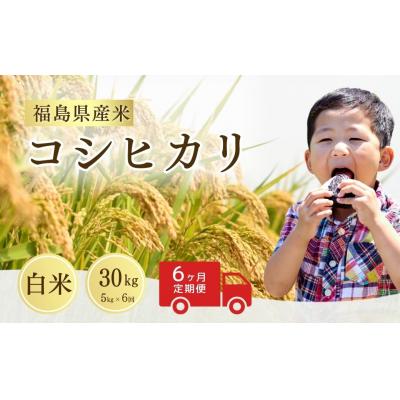 ふるさと納税 南相馬市 【先行予約】定期便 令和8年産 コシヒカリ 白米 30kg ( 5kg ×6回) |米 サムランド