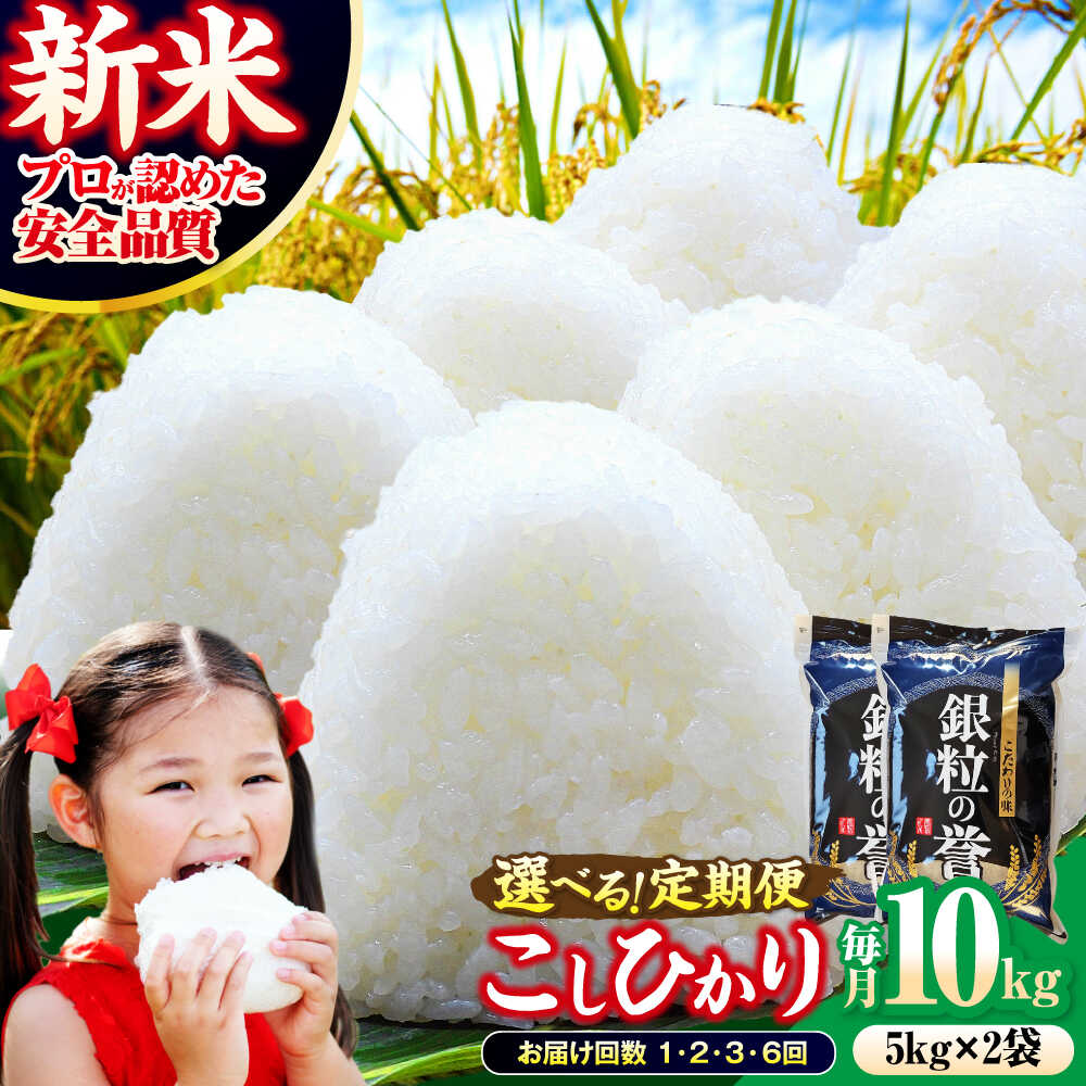 【ふるさと納税】こしひかり 10kg（5kg×2袋）【スピード発送】【選べるお届け回数/発送月】 コシヒカリ 米 10キロ 5kg 5キロ 小分け お米 こめ おこめ コメ 白米 国産 令和7年 ごはん ご飯 精米 精白米 30000円 お歳暮 定期便 送料無料 三次市/アグリ君田[APDC002]