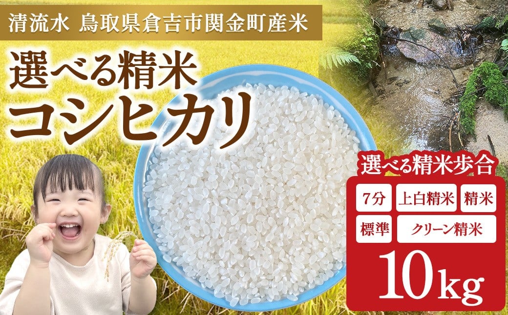 
                  【令和7年産】コシヒカリ 選べる精米歩合 10kg お米 米 こめ コメ こしひかり コシヒカリ ご飯 ごはん 鳥取県 倉吉市産
                