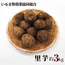 【ふるさと納税】No.253 里芋 ／ 農産物 新鮮 さといも 里いも 送料無料 埼玉県