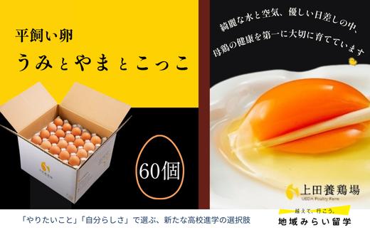 
            【上田養鶏場】平飼い卵「うみとやまとこっこ」60個
          