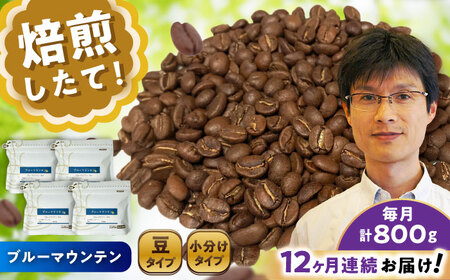 【全12回定期便】ブルーマウンテンNo.1　コーヒー豆　200g×4個 (豆)  / コーヒー  ドリップ  豆 / Coffee SAKURA[BBAB085]