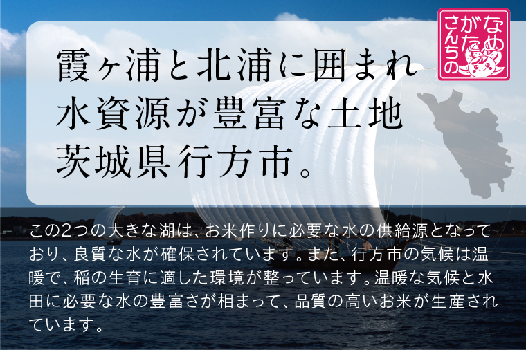 【2025年11月下旬より順次発送】★最短3営業日で発送★十八雑穀 パックごはん 18食入り 安心の国産原料｜米 お米 こめ パックごはん パックご飯 ごはん 安心 国産 スピード発送 十八雑穀 茨城