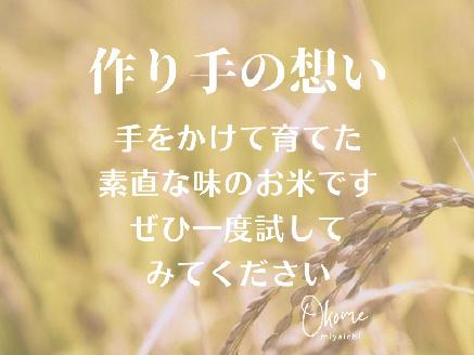 【令和5年産新米】コシヒカリ 2kg 特別栽培米 鳥取県江府町産 こしひかり 精米 産地直送 お試し 4000円 2ｷﾛ 0930