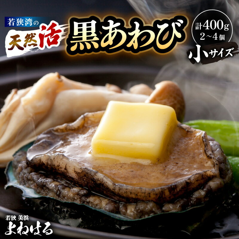 【ふるさと納税】【先行予約】天然 活黒アワビ 計400g（2〜4個）【選べる発送月】【2025年11月以降順次発送予定】入手困難 日本海若狭湾 鮮度抜群 刺身 お造り バター焼き BBQ あわび アワビ 鮑 クロアワビ 黒あわび 貝 魚介 海鮮 お買い物マラソン 買い回り [m17-d005]