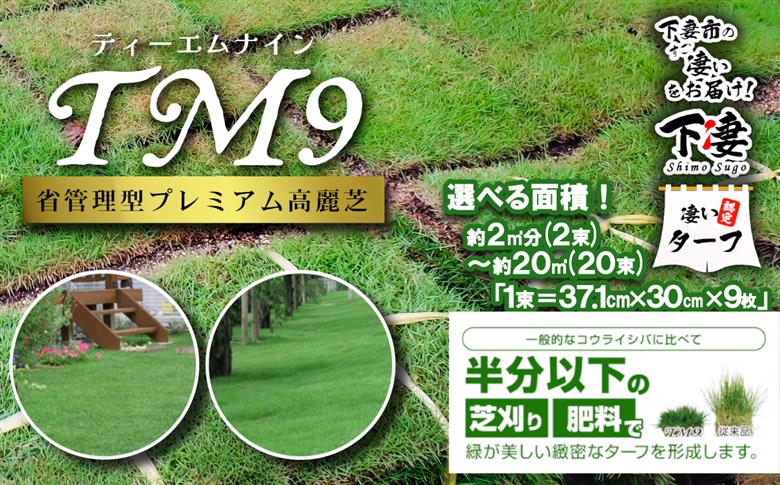 【先行予約】6㎡分 省管理型プレミアム高麗芝 「TM9（芝生）」コウライシバ ティーエムナイン 【2027年3月下旬頃から出荷予定】 6㎡分（6束）3箱 | 36,000円