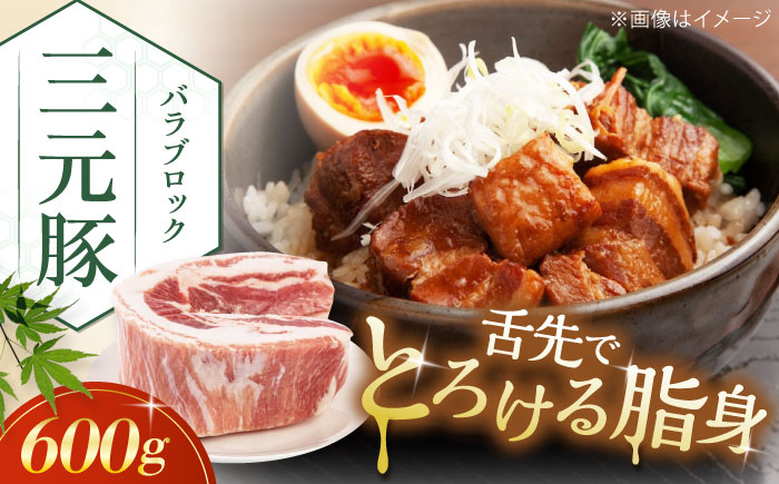 
三元豚 バラブロック600g《喜茂別町》【平田牧場】 肉 豚肉 バラ ブロック 煮豚 酢豚 煮物 冷凍配送 [AJAP072]
