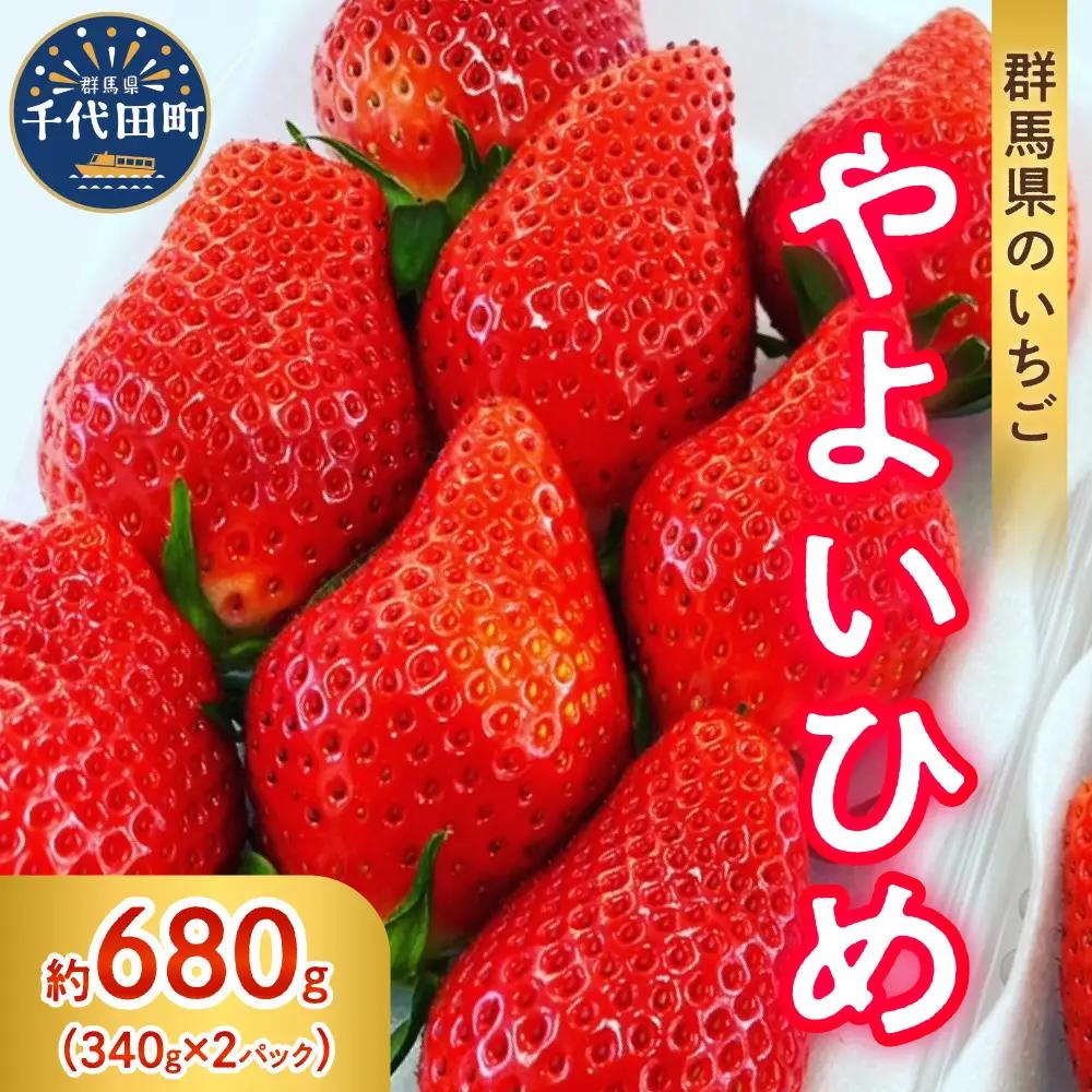 【クール便】2027年3月発送  いちご やよいひめ 約340g×2