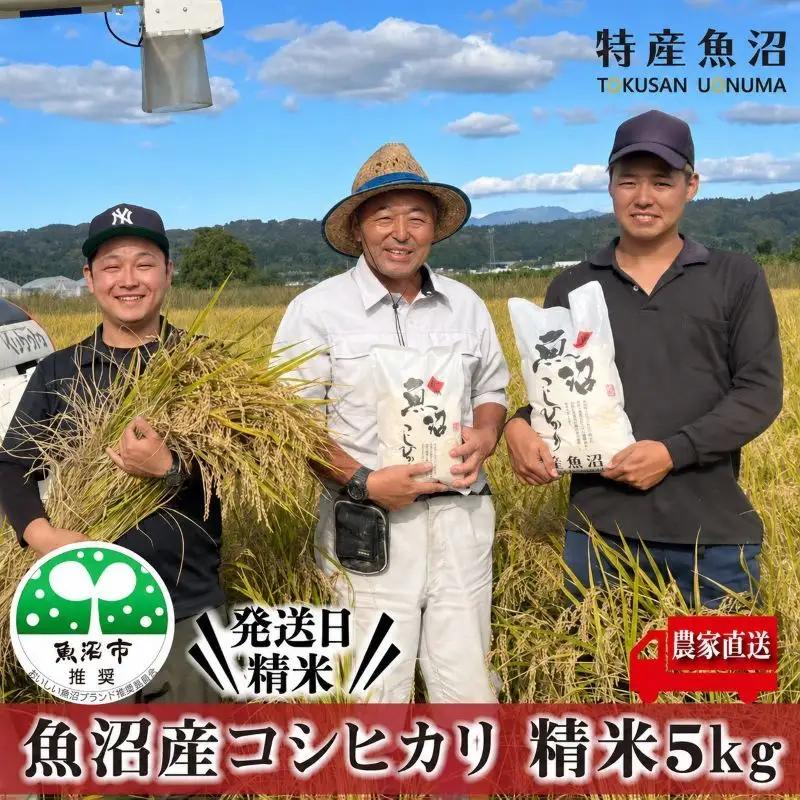 令和8年産 農家直送！ 魚沼産 コシヒカリ 精米 5kg （ 米 こしひかり お米 こめ コメ 魚沼産コシヒカリ 魚沼 新潟 魚沼産こしひかり おこめ 白米 ） 新潟県 