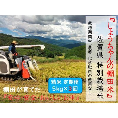 ふるさと納税 多久市 【毎月定期便】『しょうちゃんの棚田米。』栽培期間中農薬使用なし 精米5kg×全3回