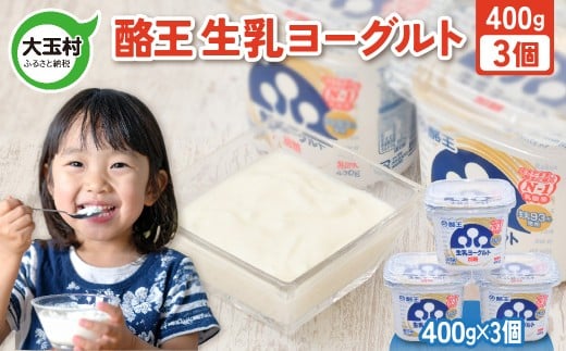 酪王 生乳 ヨーグルト 加糖 400g × 3個 ｜ もったり 濃厚 クリーミー 香料 安定剤 不使用 乳酸菌 腸活 プロバイオティクス 健康 美容 福島 子ども 女性 大玉村 ご当地 乳製品 朝食 | pl-yo-400g-3s