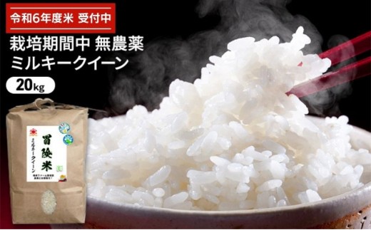 
                  令和6年産 栽培期間中無農薬ミルキークイーン 20kg お米 精米 白米 玄米 ブランド米 ご飯 おにぎり お弁当 もちもち 冷めてもおいしい
                
