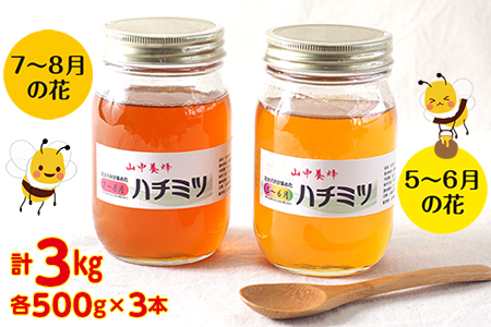 【自然のまま】富津産ハチミツ食べ比べ500g×6本 計3kg