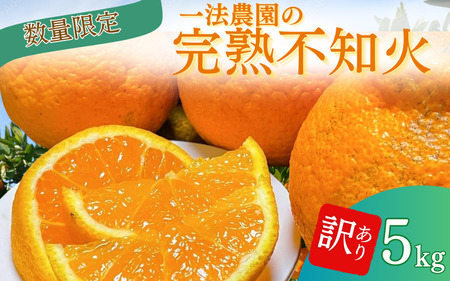 みかん ミカン 蜜柑 不知火 デコポン / 一法農園の完熟不知火　ご家庭用 ちょこっと訳あり　M-3Lサイズ混合 5kg【2月上旬～3月下旬までに順次発送】【mkz014B】