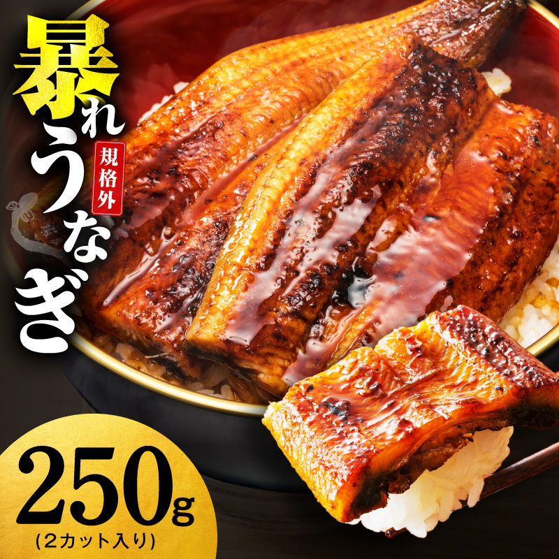 【規格外】うなぎ 暴れ盛り 250g（2カット）【お試し 鰻 かば焼き 簡単調理 訳あり サイズ不揃い 人気 惣菜 うな重 うな丼 ひつまぶし】 G3973