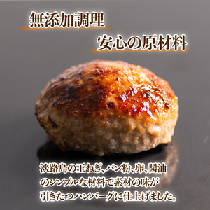 【京都ブランド豚ハンバーグ】京丹波高原豚ハンバーグ150g×12個（冷凍ハンバーグ 小分けハンバーグ ハンバーグ豚肉 豚肉ハンバーグ ハンバーグ10000円)