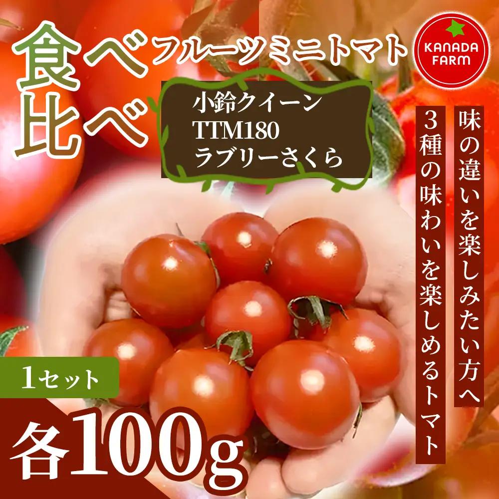 《先行予約》【3種の味わいを楽しめる】フルーツミニトマト食べ比べセット  1セット 野菜 食べ比べ 詰め合わせ サラダ 食材 おうちごはん 家庭用  贈り物 女性向け お取り寄せ 新鮮 旬 産地直送 愛知県 豊橋市