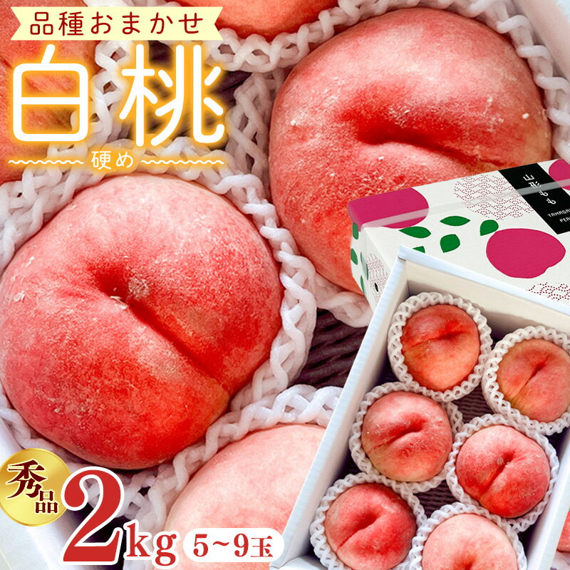 【ふるさと納税】【先行予約】令和8年産 白桃 硬めの桃 秀品 2kg ( 5玉 - 9玉 ) 品種おまかせ 山形県産【2026年8月上旬頃から下旬頃発送予定】※配送不可 沖縄・離島 2026年産 フルーツ 果物 果実 山形産