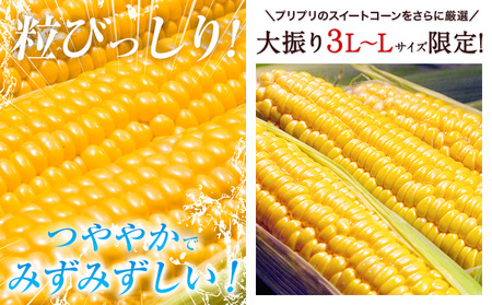 とうもろこし 5本 すごあまこーん  とうもろこし【着日指定不可】