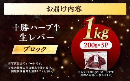 北海道 十勝 ハーブ牛 牛肉 生レバー ブロック 1kg（200g×5） 《足寄町》【株式会社ノベルズ食品】[BEAQ021]