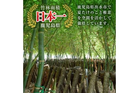 i343 鹿児島県出水市産！原木乾しいたけ200g(100g×2パック)原木栽培の国産椎茸を干しシイタケに！【シンタク】