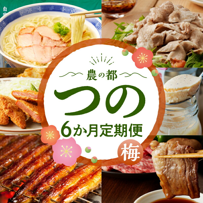 【ふるさと納税】都農町の特産品詰め合わせ定期便！ 6か月 お楽しみ 定期便 都農町 定期便(梅) 6回 牛肉 豚肉 うなぎ 蒲焼 鰻 国産 食品 加工品 ラーメン プリン ハムカツ 豚ロース 焼肉 しゃぶしゃぶ 豚丼 黒毛和牛 人気 おすすめ 宮崎県 送料無料