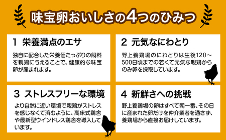 【定期便】計3回お届け 朝獲れ卵 味宝卵 (計90個) 30個×3回お届け 卵 Lサイズ 鶏卵 《お申込み月の翌月より出荷開始》 福岡 鞍手町 卵 Lサイズ 鶏卵 送料無料