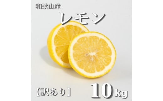 
            和歌山産 レモン 10kg  ［訳あり］ ［US3］
          