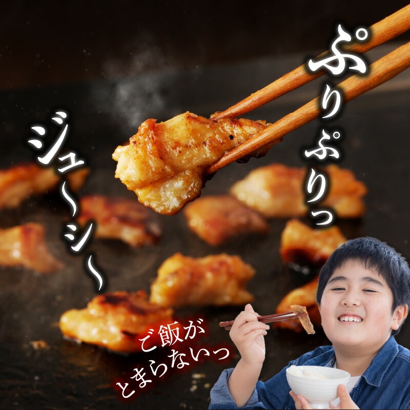 【宮崎産】豚直腸(ホルモン)タレ漬け 1kg (500g×2) N061-YA4421