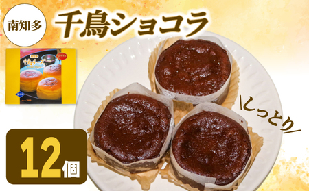 アルザス 千鳥ショコラ 12個 冷凍 ガトーショコラ チョコケーキ 愛知県 南知多町 [配送不可地域：離島]