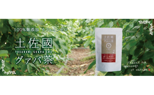 
国産有機栽培グァバ葉100％使用 土佐國グァバ茶2g×30包入り 3個セット
