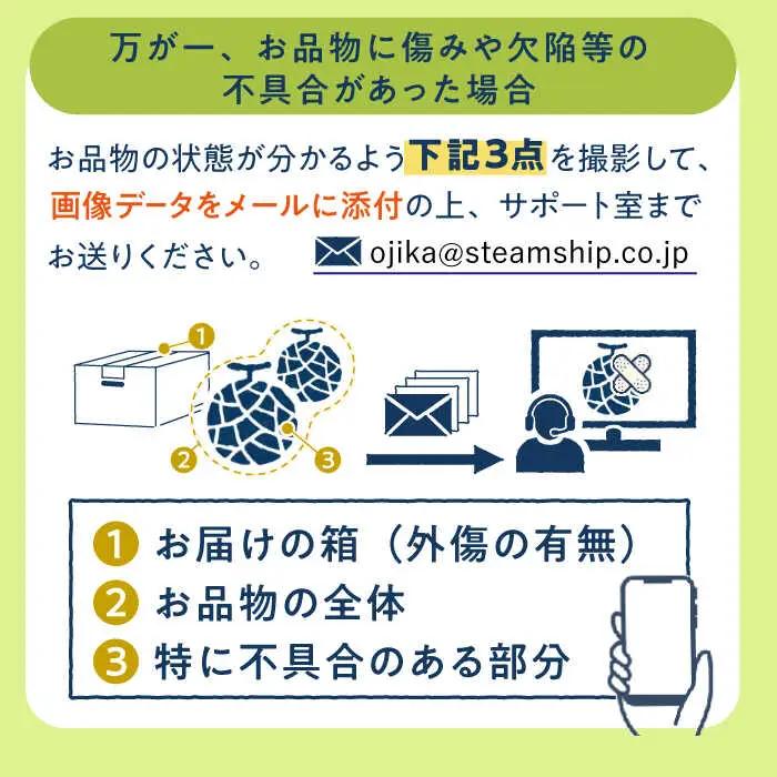 【先行予約】アールスメロン 約4kg 2玉 [DAT002] 12月発送 メロン