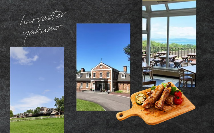 ハーベスター八雲　八雲産豚のスペアリブ3パックセット